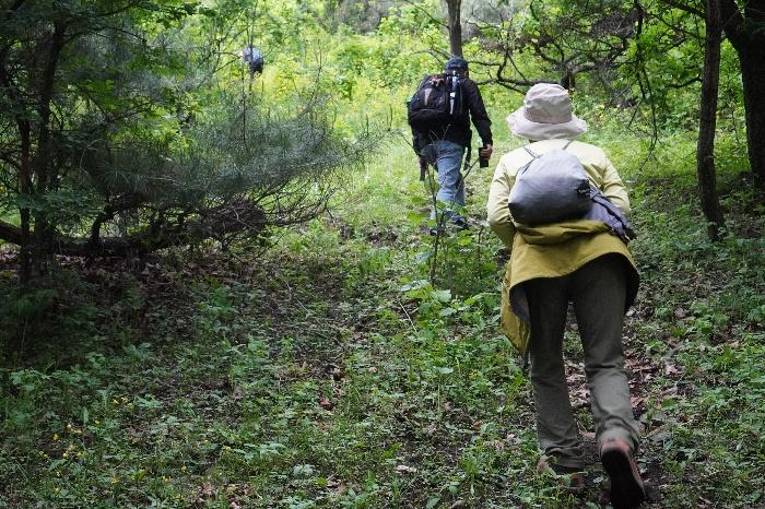 야외, 나무, 의류, 식물이(가) 표시된 사진 AI 생성 콘텐츠는 정확하지 않을 수 있습니다.