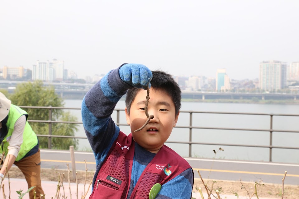 736acefd084c4.jpeg