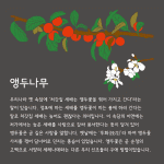 8e68955ad871e.gif