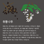9c0a08f975c24.gif