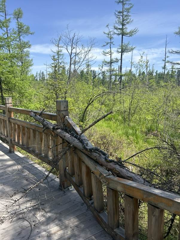야외, 나무, 건물, 하늘이(가) 표시된 사진
AI 생성 콘텐츠는 정확하지 않을 수 있습니다.