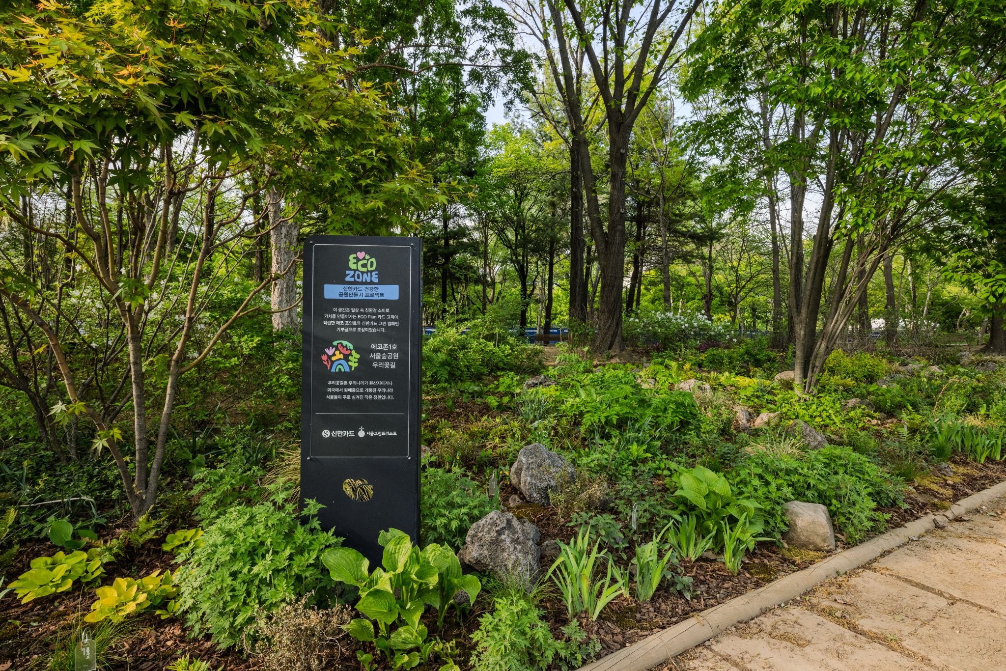 a583920597a05.jpeg