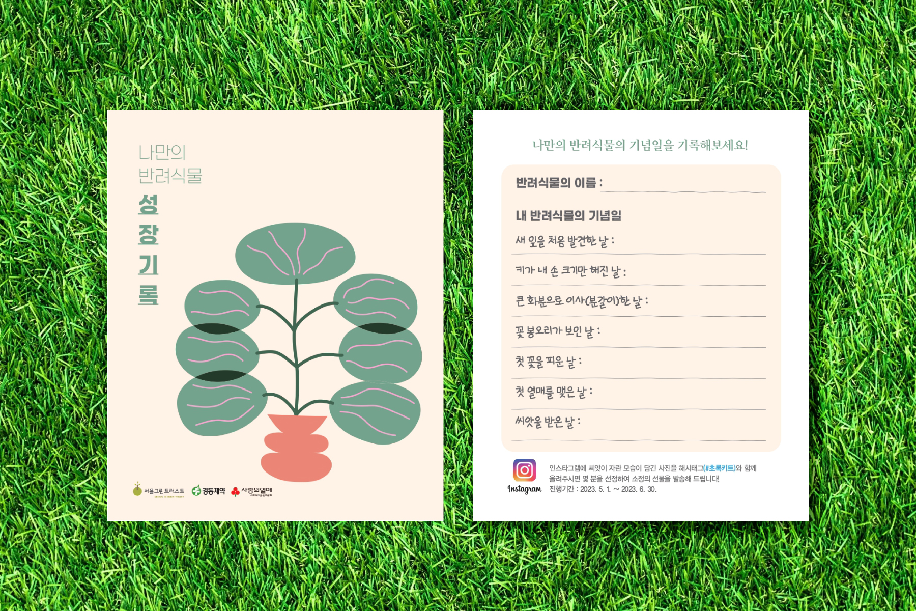 서울그린트러스트 초록키트 식물 성장 기록지