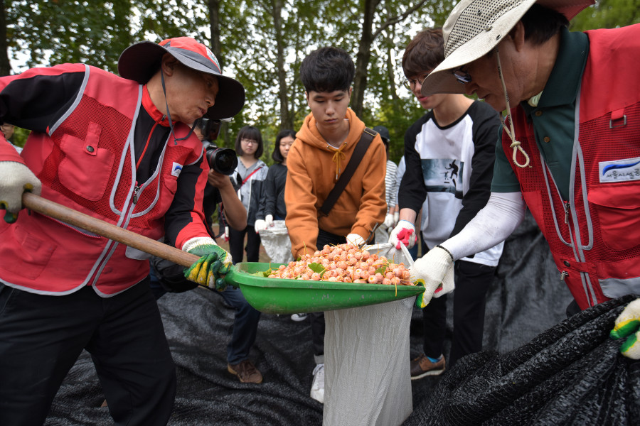 %ed%81%ac%ea%b8%b0%eb%b3%80%ed%99%98_161008_friendschildginkgo_038