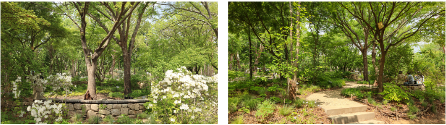 d8948a7a7e6b8.png