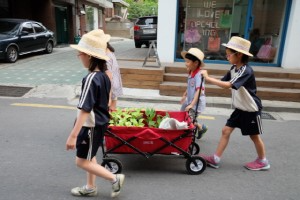 크기변환_크기변환_DSCF0882