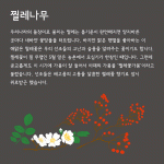 e370050f70d56.gif