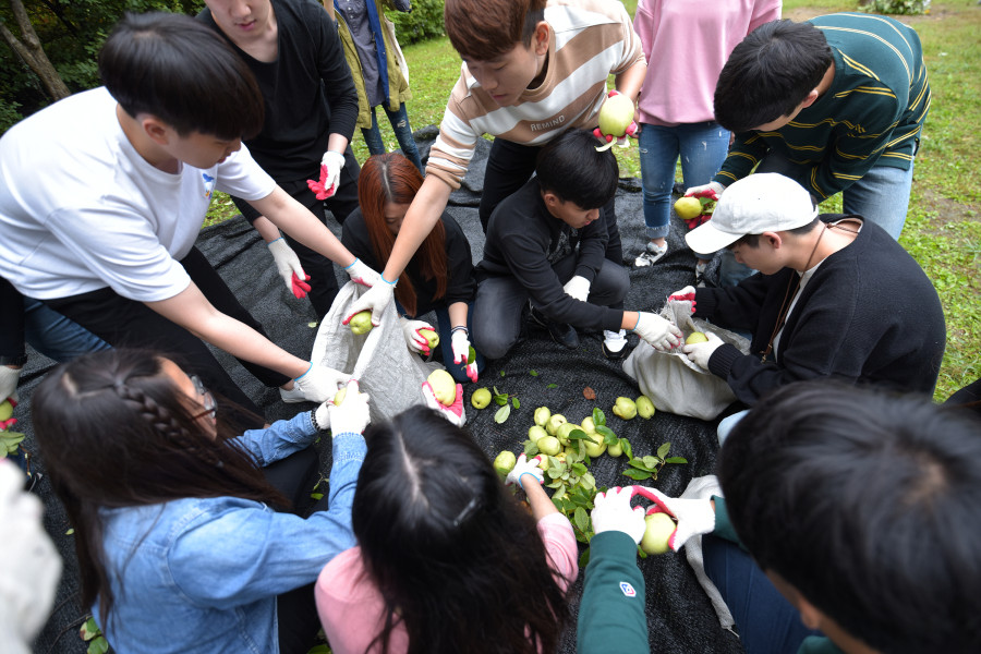 %ed%81%ac%ea%b8%b0%eb%b3%80%ed%99%98_161008_friendschildquince_024