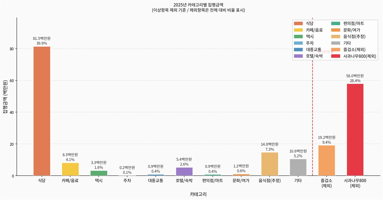 대한축구협회 업무추진비 카테고리별 사용 규모 2025년 대한축구협회 업무추진비 카테고리별 사용 규모