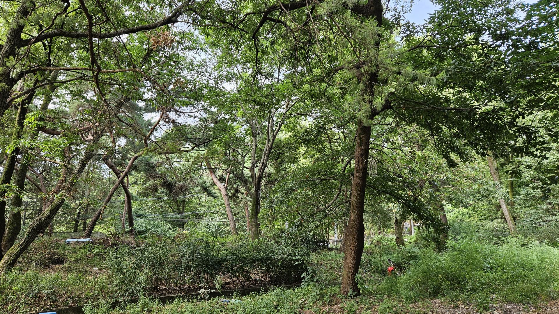 16e3329569271.jpg