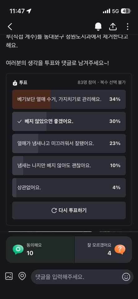 동대문구 은행나무 제거 관련 설문조사 (출처: 당근)