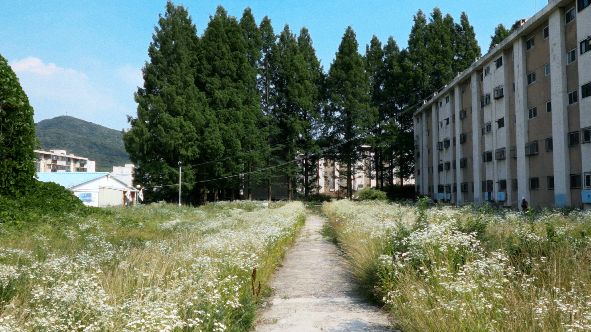 63c034f4158bb.jpg