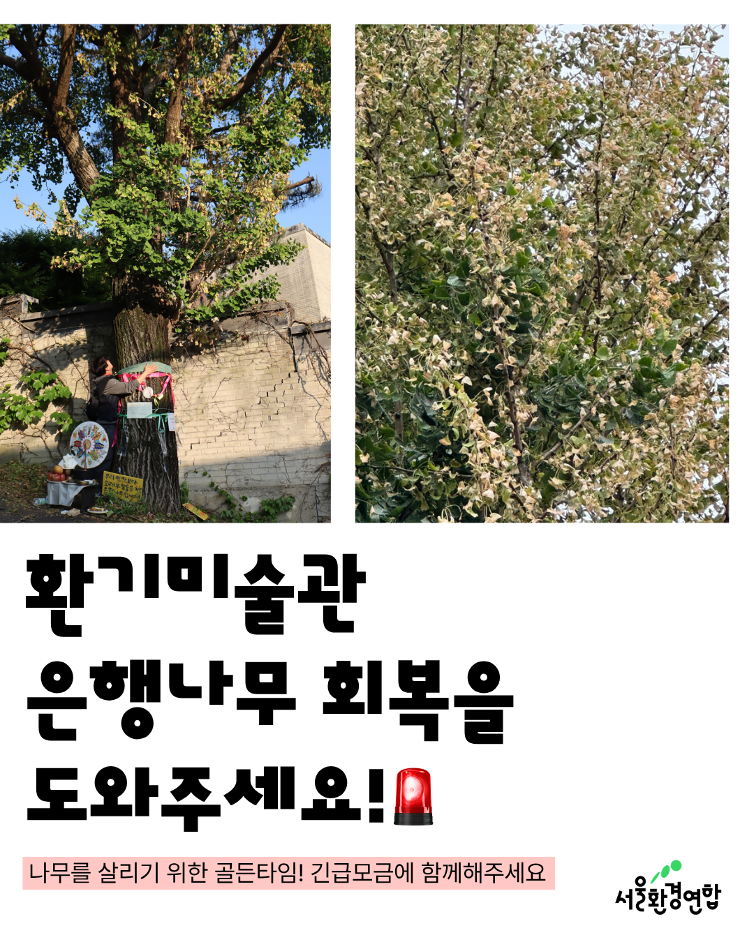 9e9080091190d.png