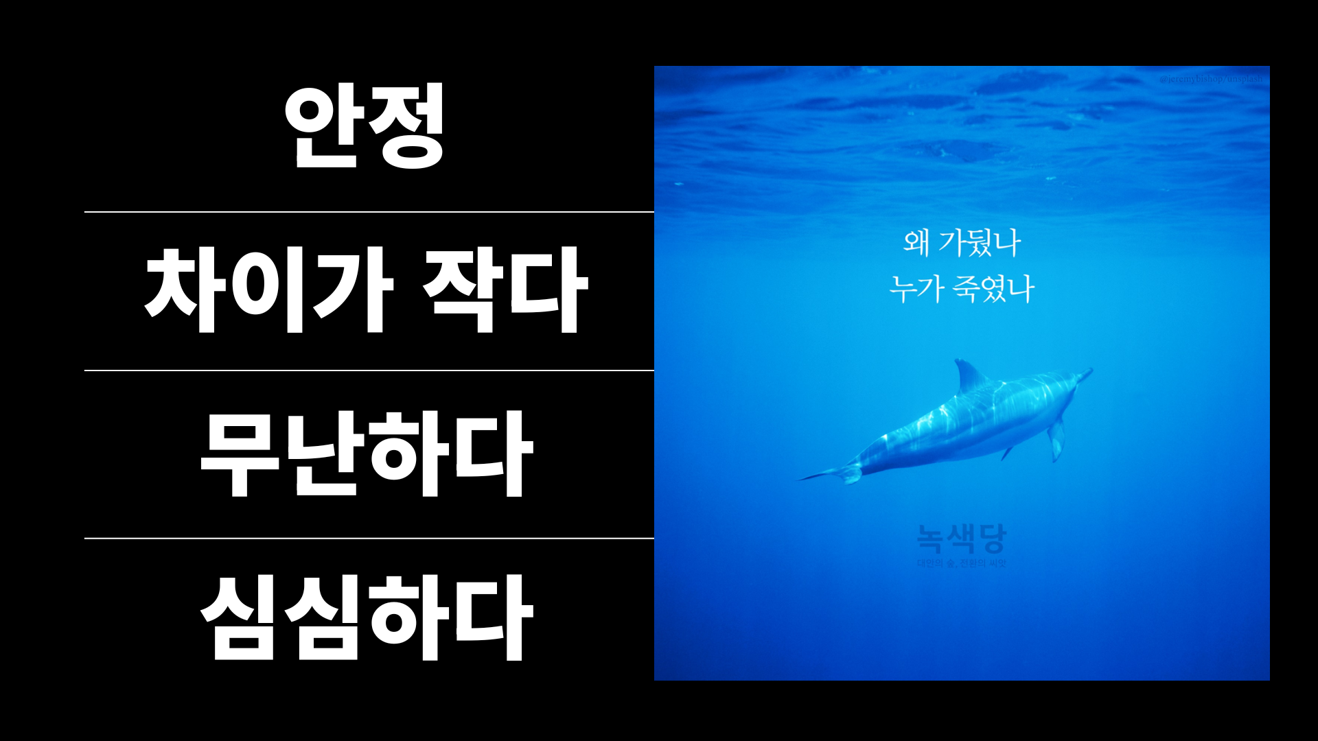 264dc976409b6.png