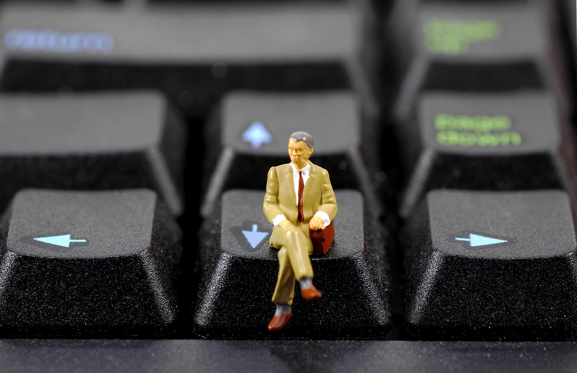 a7d4525bfe9c1.jpg