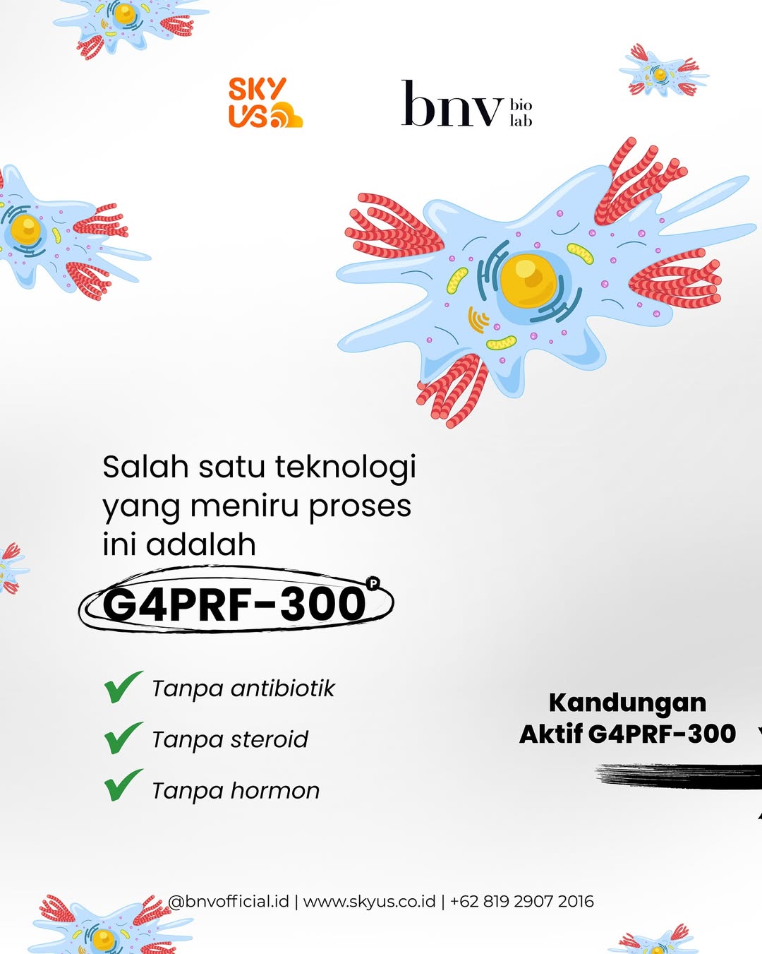 adecb7353d2aa.jpg