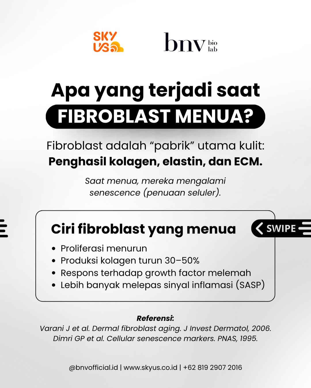 c46d21da58151.jpg