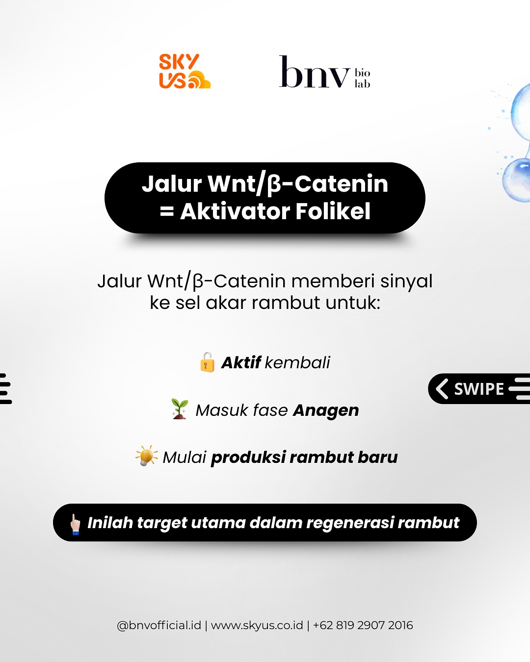 cf536267645f3.jpg
