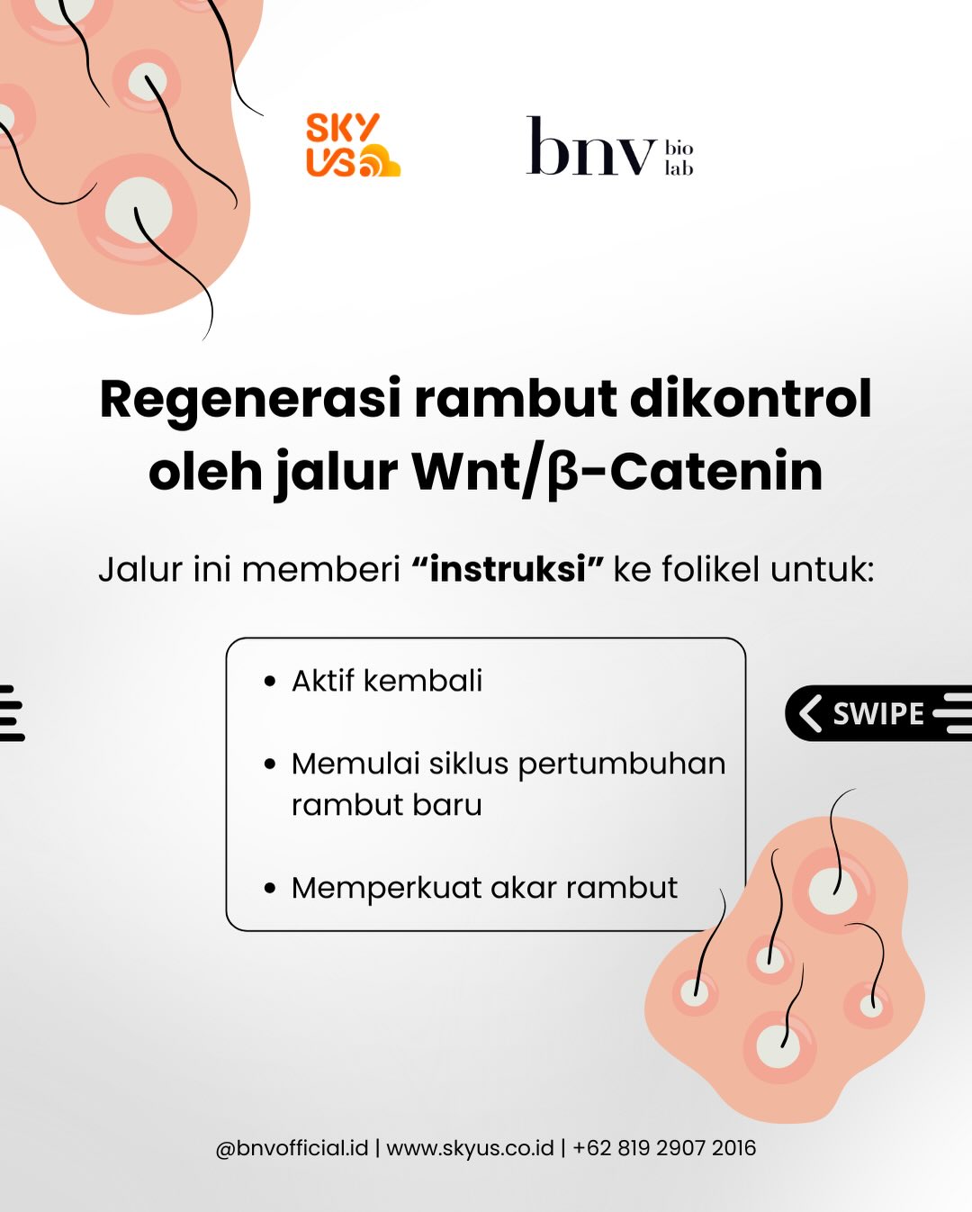 f2d9fd7753826.jpg
