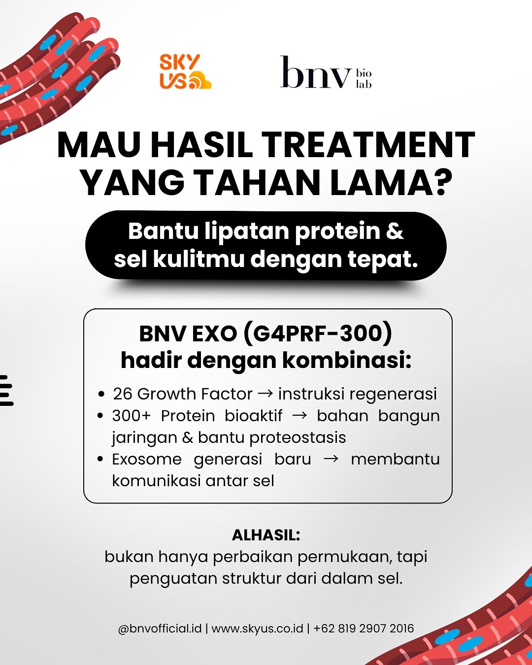 fb44ae45cb143.jpg