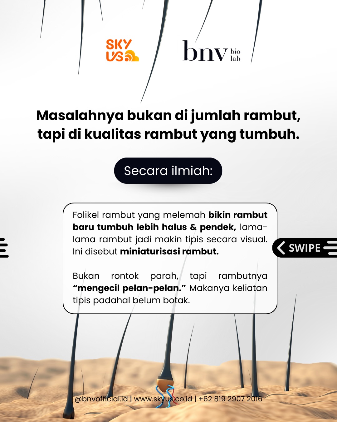 ff89b2a06a467.jpg