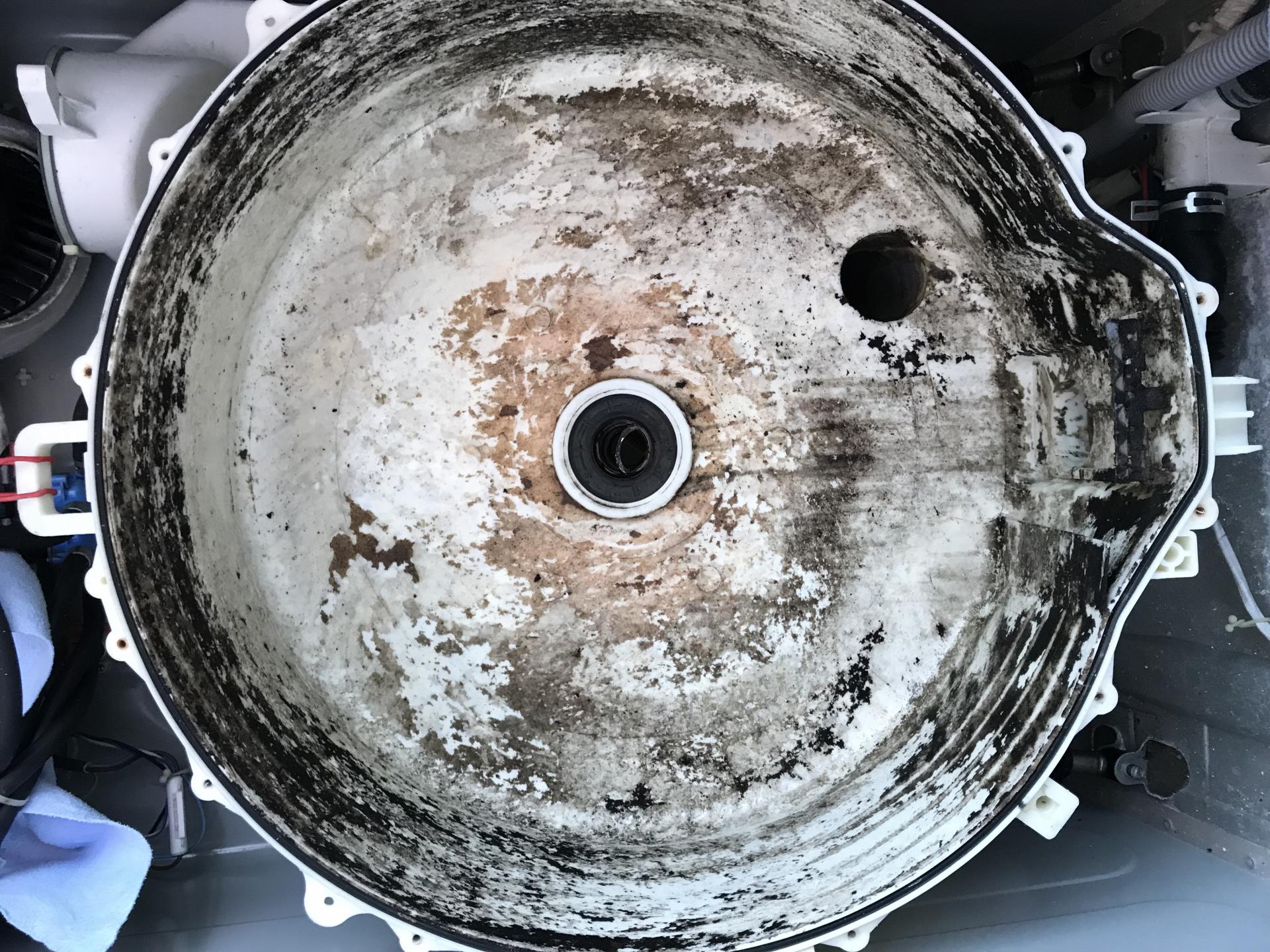 2ce3b63698924.jpg