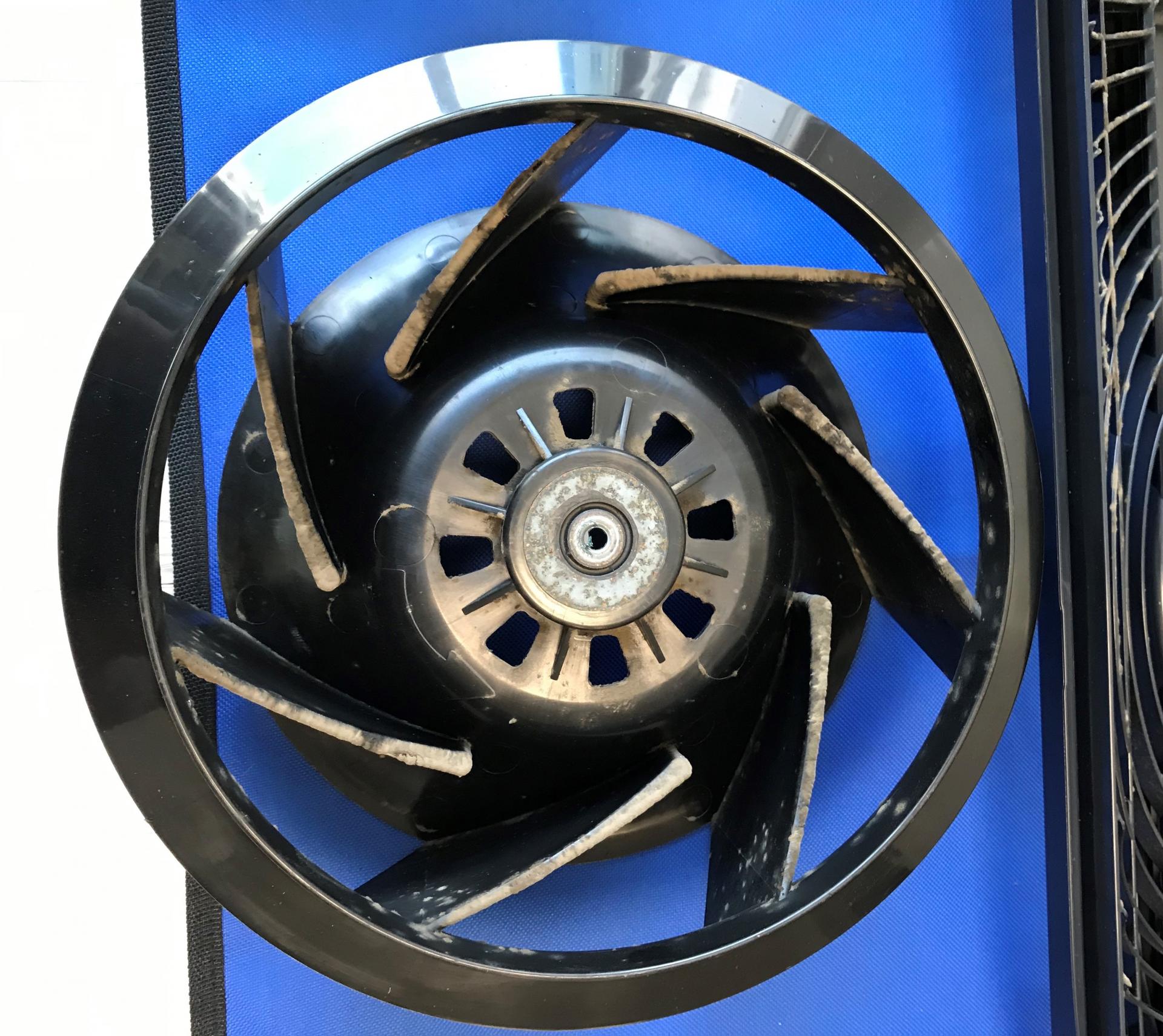 f4e2154f20b48.jpg