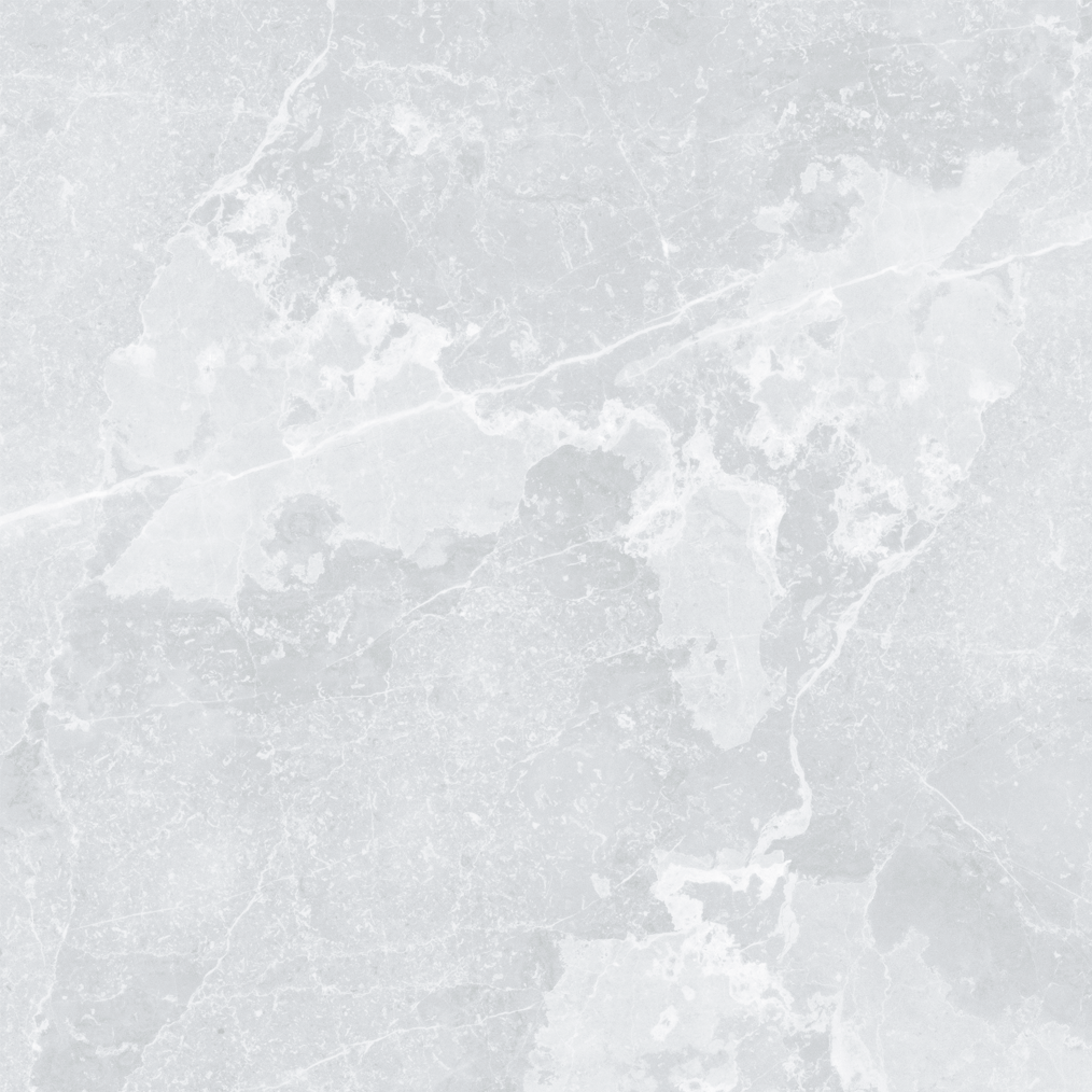 4560cd2fec306.png