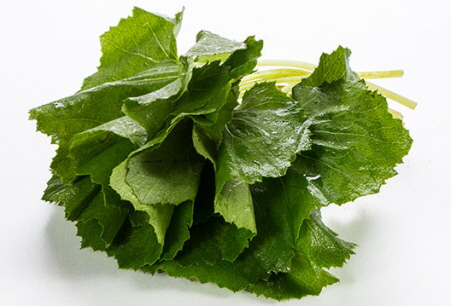 903c515682f73.png