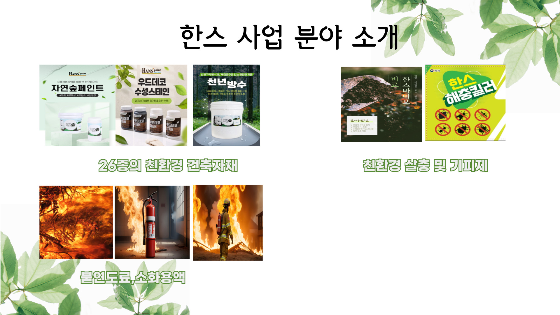 6d2b64a9433a3.jpg