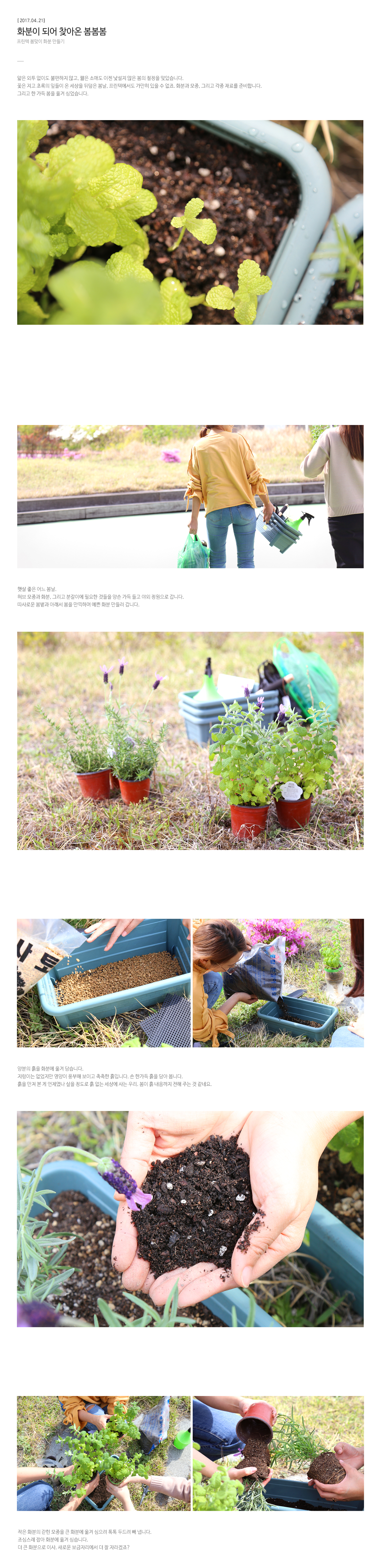 44bb036e1a33a.png