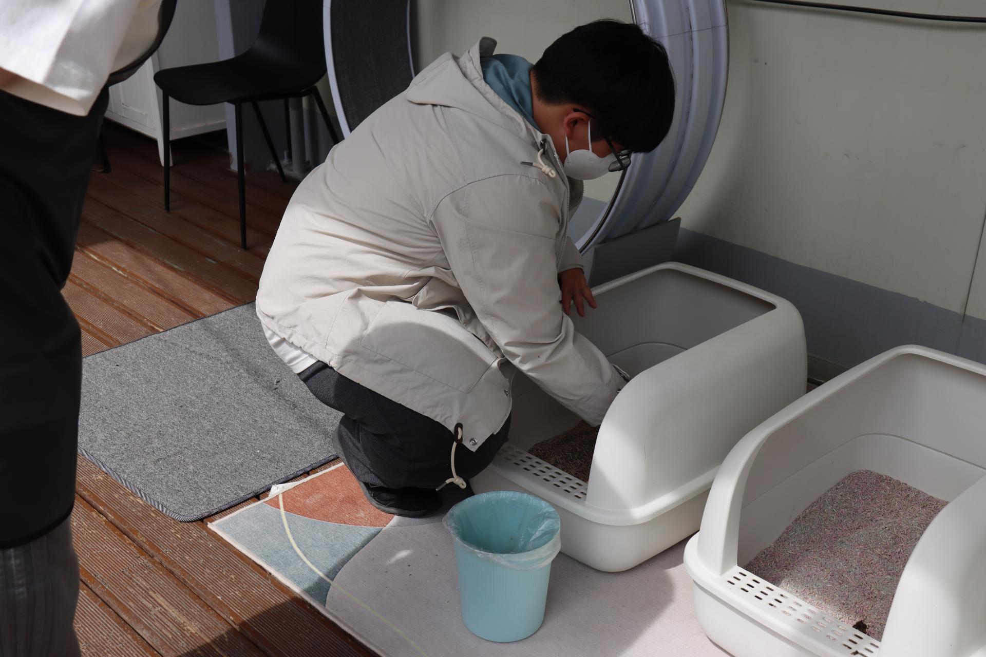 45c1bfc881b81.jpg