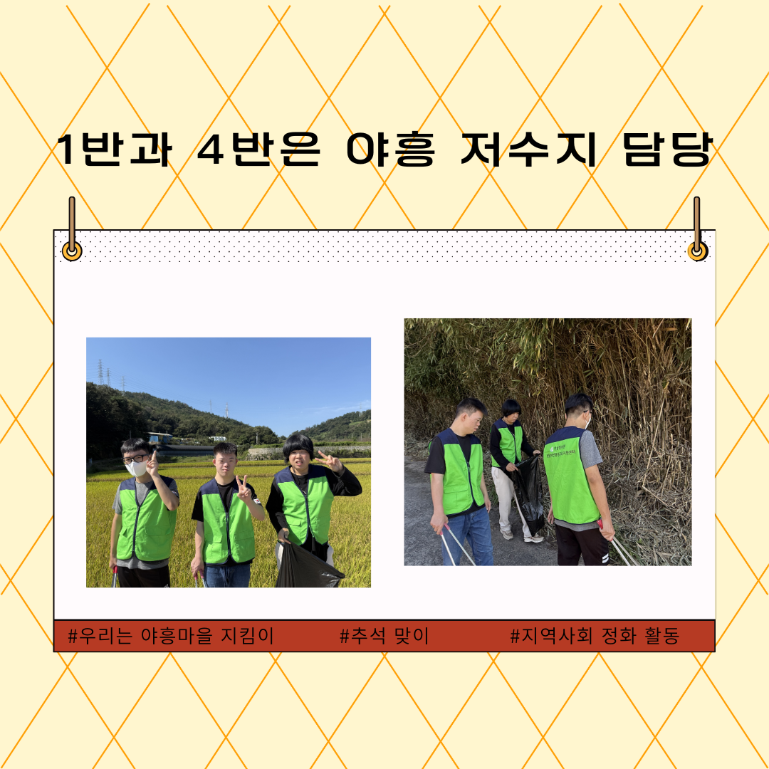 d974169da91b9.png