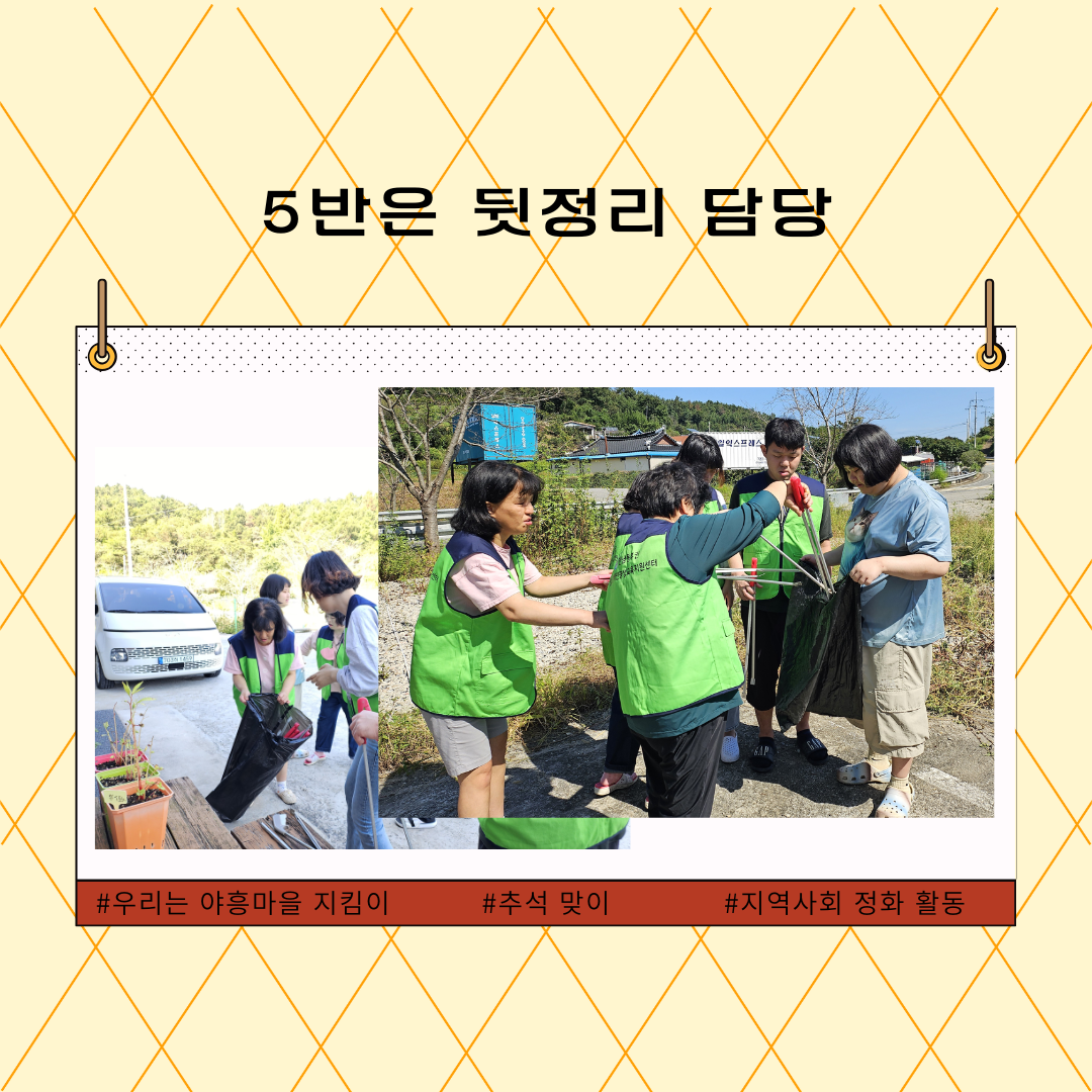 e24eb840b2252.png