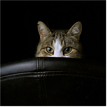 149867df5a948.png