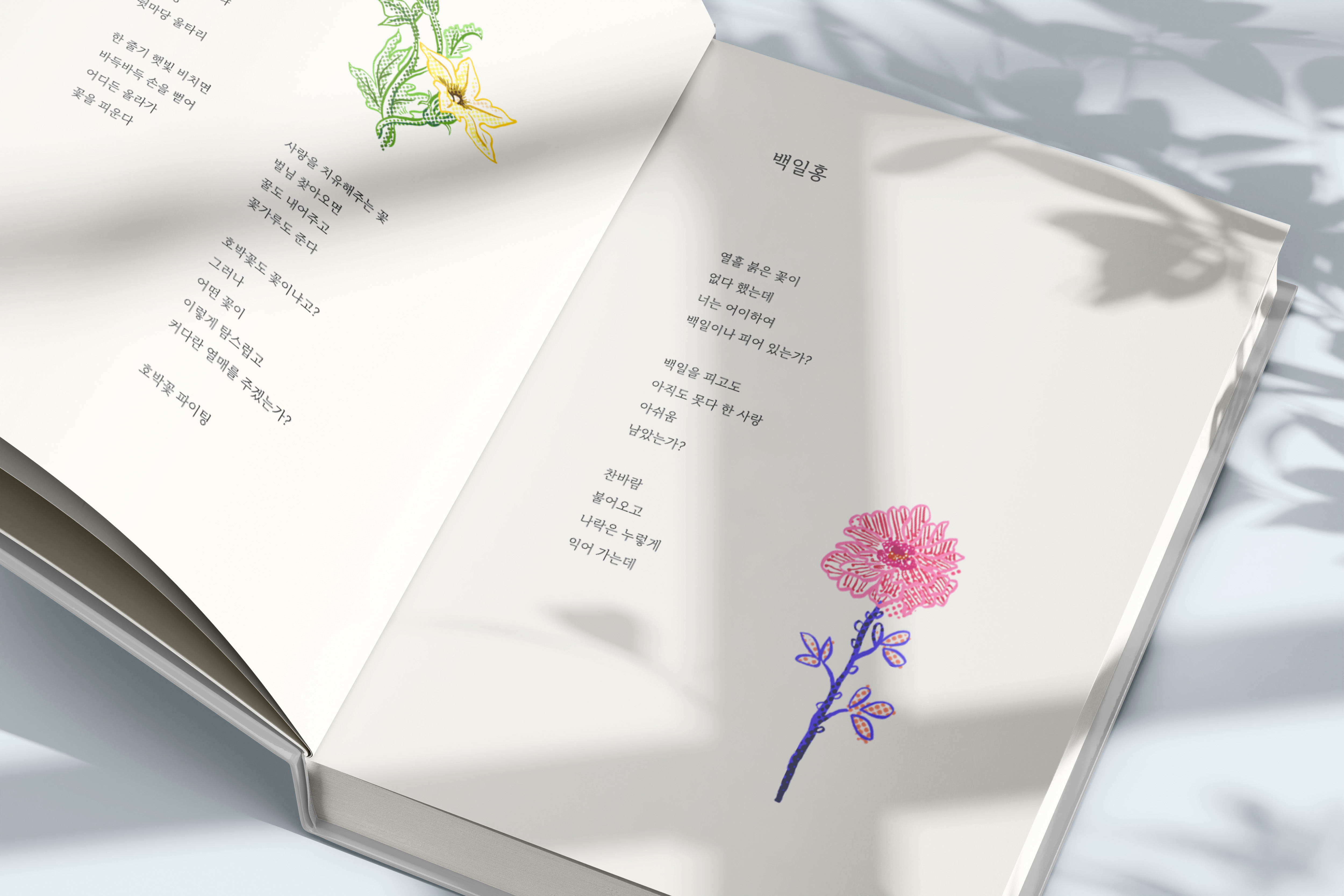 7a9bf5d8476ab.jpg