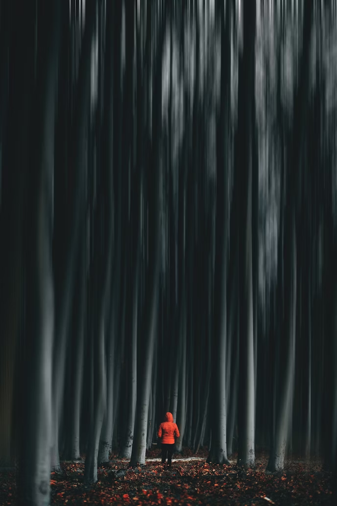 7d83aaf03dbd0.png
