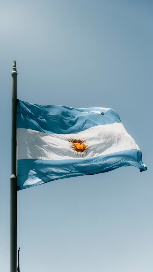 8cf6be7537a51.png