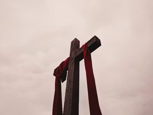 aa3df7598292d.png