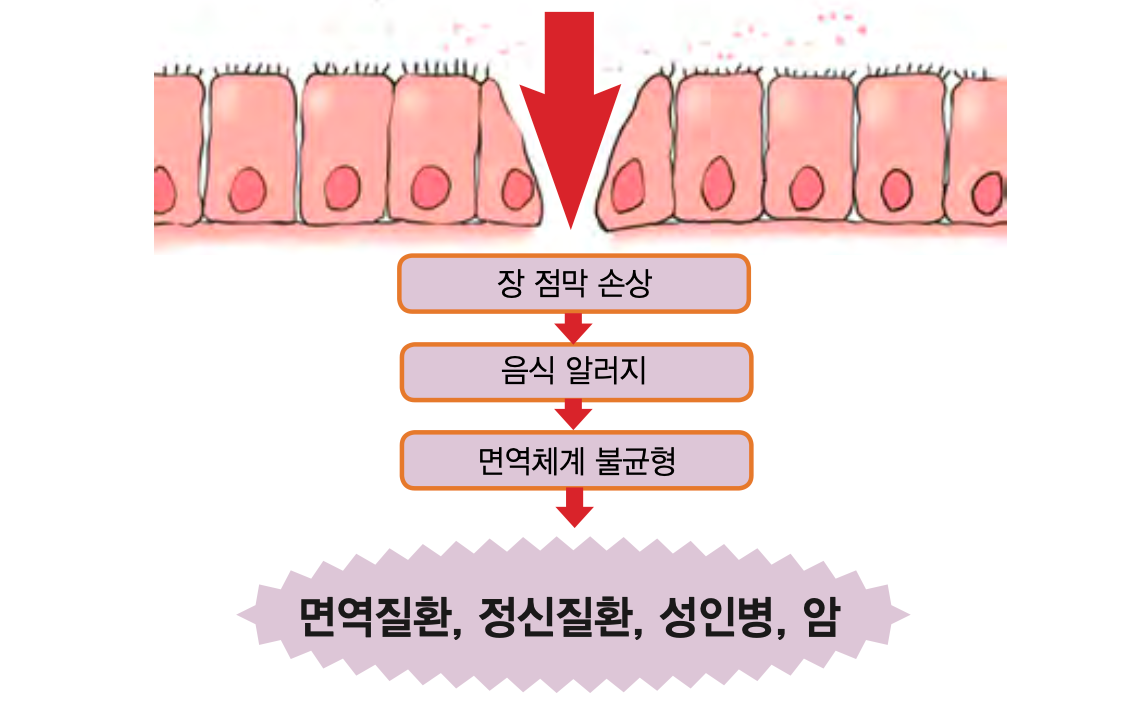 점막 소장
