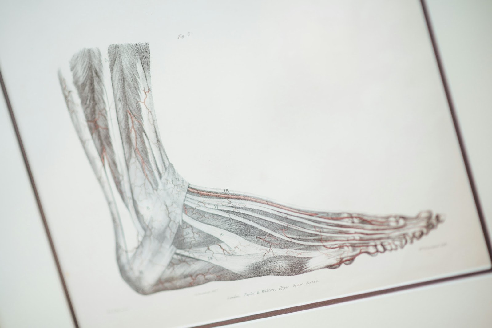 c016967f56a41.png