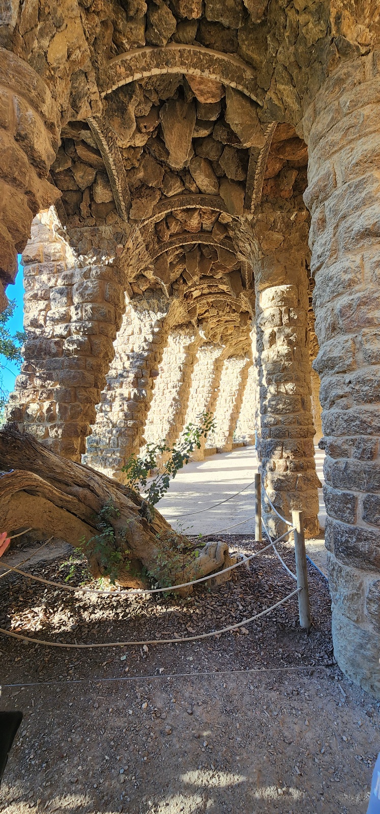 d17c12739f9de.jpg