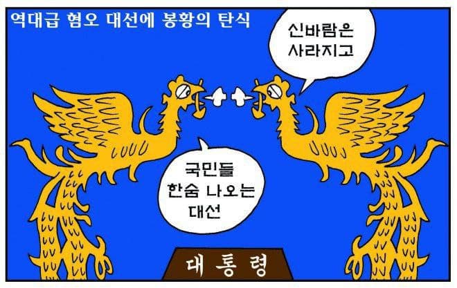 cabd51a2a0ff7.jpg