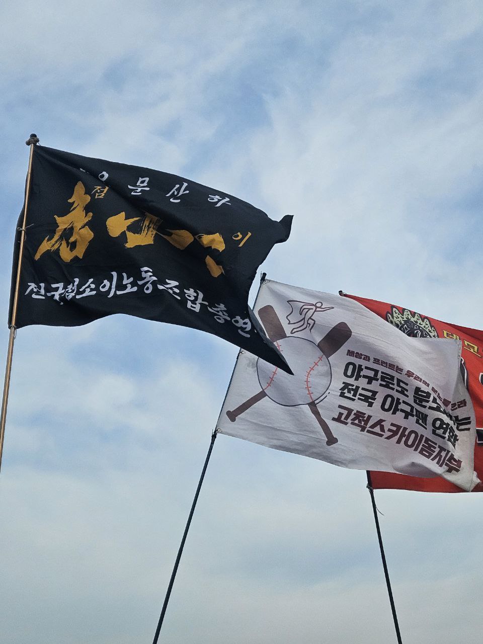b2e393c832a66.jpg