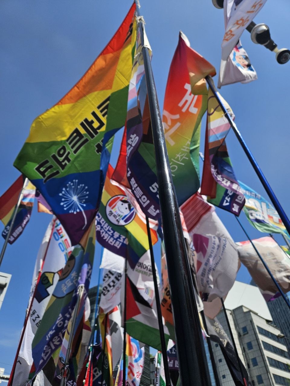c972d31d124b7.jpg