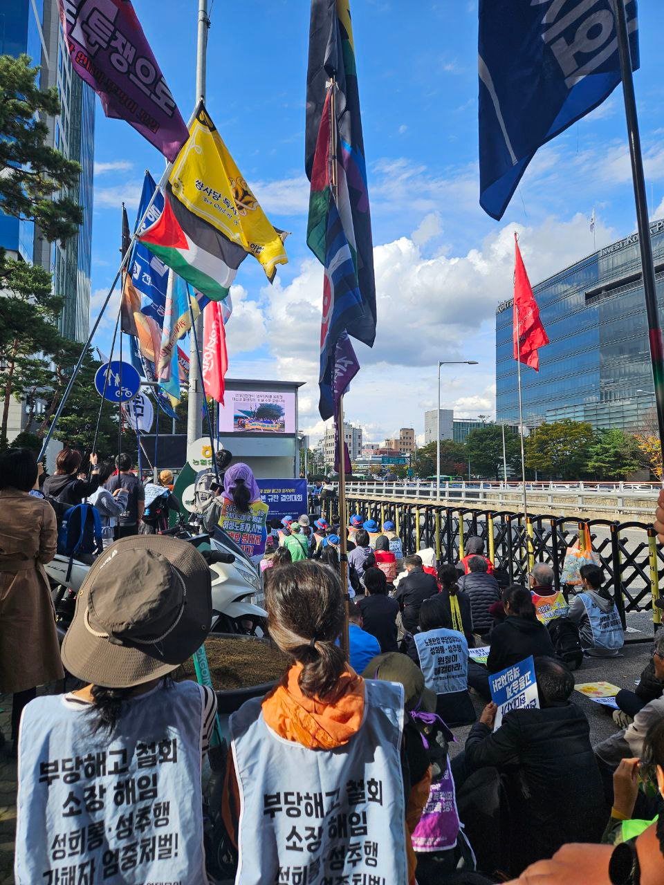 f55dfb8233f5d.png