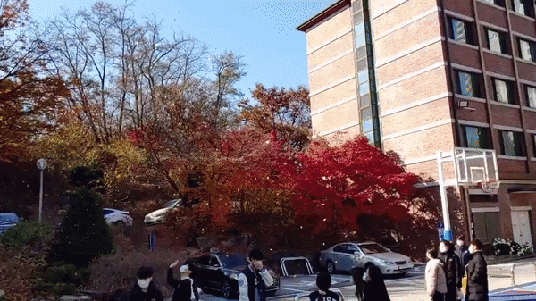 389121d0bc107.gif