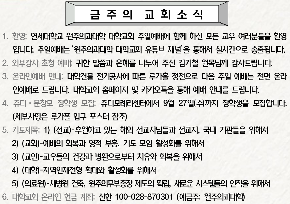 5202912d41ea4.png