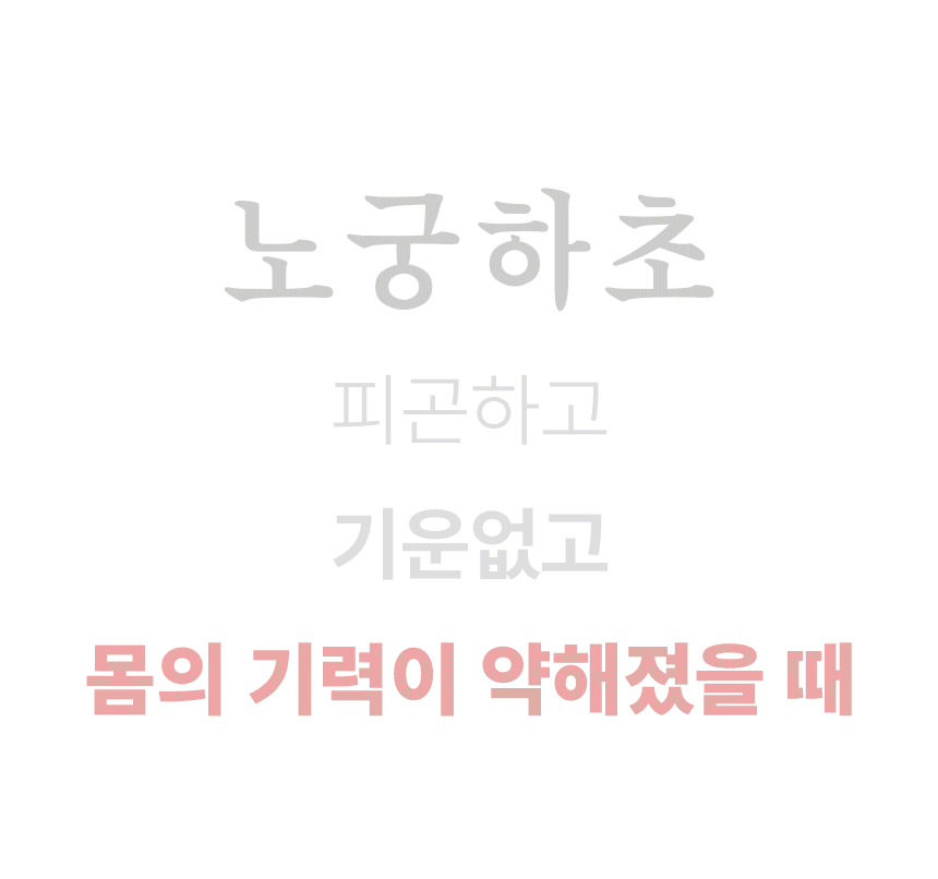 4개월분 4박스 (120포) 노궁동충하초