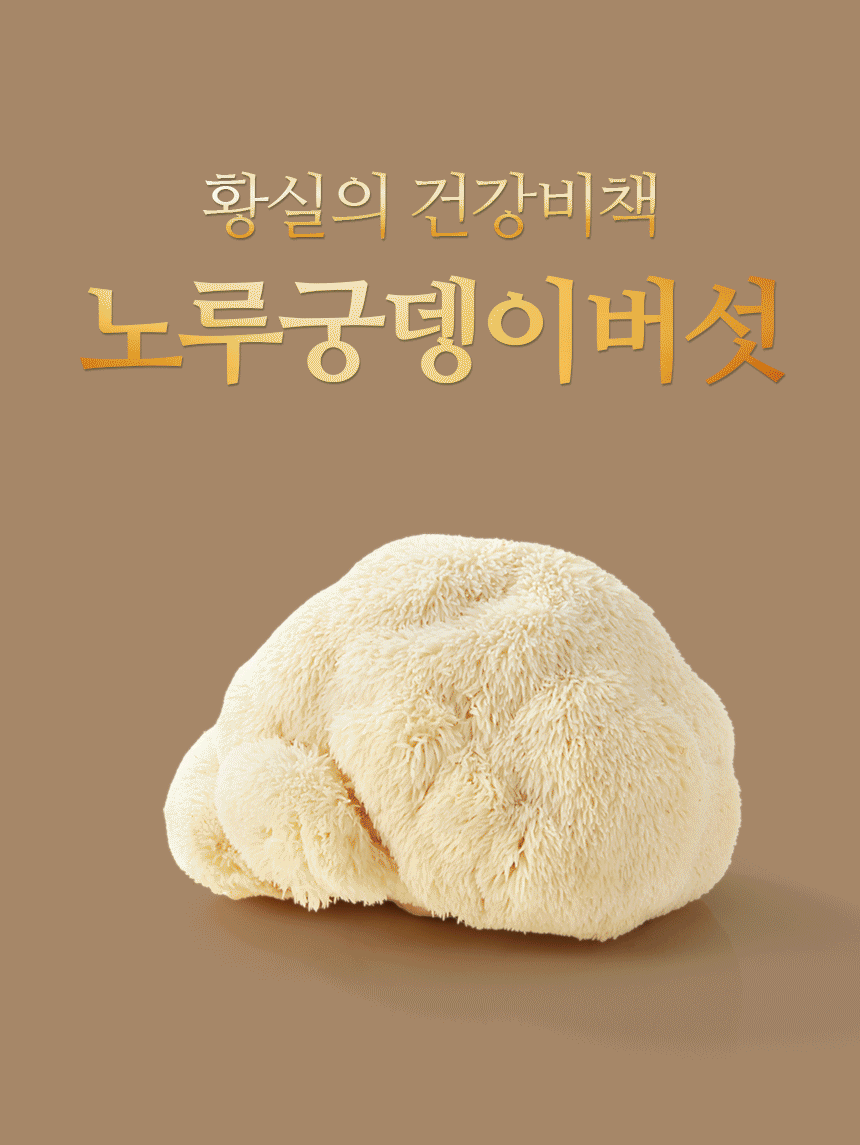4개월분 4박스 (120포) 노궁동충하초